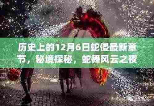 秘境探秘,蛇舞风云之夜与蛇文化小店的独特故事