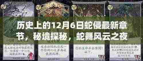 秘境探秘,蛇舞风云之夜与蛇文化小店的独特故事