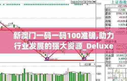 新澳门一码一码100准确,助力行业发展的强大资源_Deluxe6.245