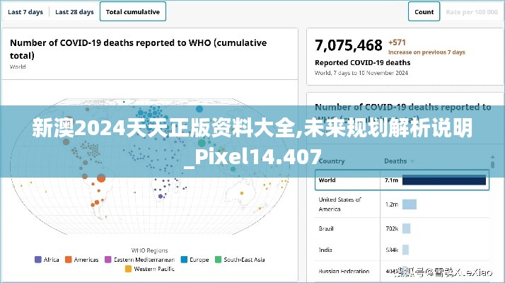 新澳2024天天正版资料大全,未来规划解析说明_Pixel14.407