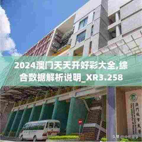 2024澳门天天开好彩大全,综合数据解析说明_XR3.258
