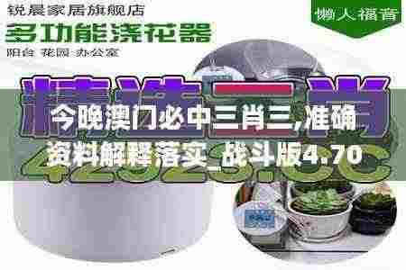 今晚澳门必中三肖三,准确资料解释落实_战斗版4.708