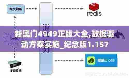 新奥门4949正版大全,数据驱动方案实施_纪念版1.157