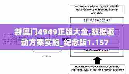 新奥门4949正版大全,数据驱动方案实施_纪念版1.157