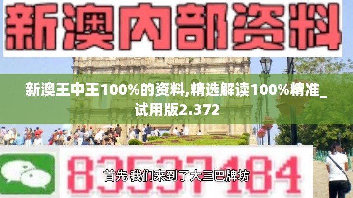 新澳王中王100%的资料,精选解读100%精准_试用版2.372