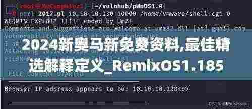 2024新奥马新免费资料,最佳精选解释定义_RemixOS1.185