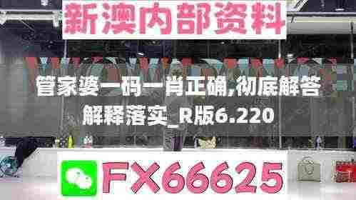 管家婆一码一肖正确,彻底解答解释落实_R版6.220
