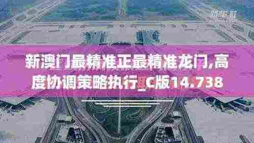新澳门最精准正最精准龙门,高度协调策略执行_C版14.738