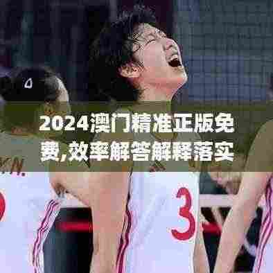 2024澳门精准正版免费,效率解答解释落实_移动版4.439
