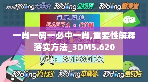 一肖一码一必中一肖,重要性解释落实方法_3DM5.620