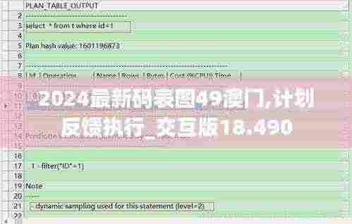 2024最新码表图49澳门,计划反馈执行_交互版18.490