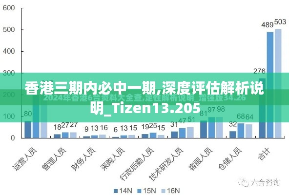 香港三期内必中一期,深度评估解析说明_Tizen13.205
