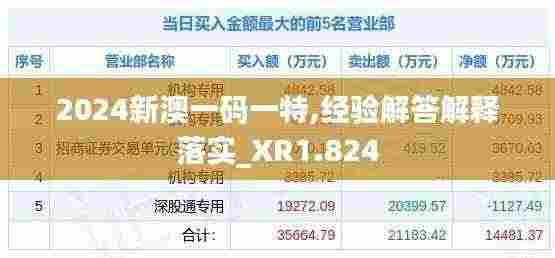 2024新澳一码一特,经验解答解释落实_XR1.824