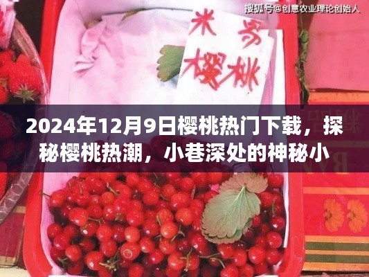探秘樱桃热潮,神秘小店的惊喜下载之旅(2024年12月9日)