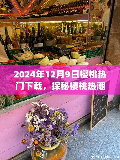 探秘樱桃热潮,神秘小店的惊喜下载之旅(2024年12月9日)