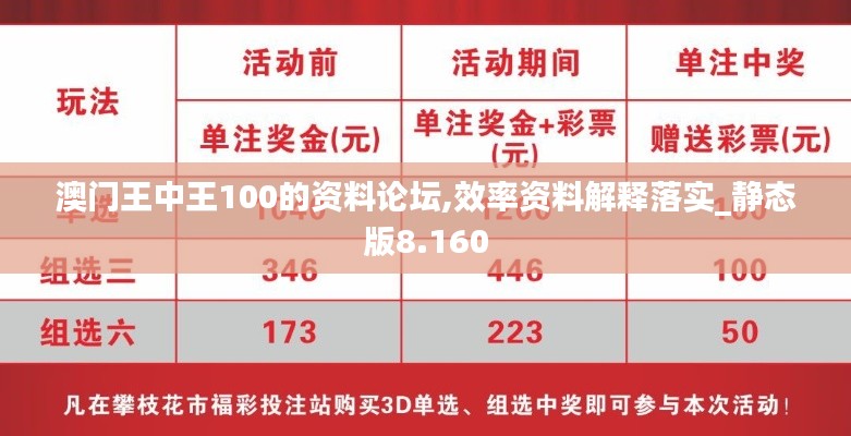 澳门王中王100的资料论坛,效率资料解释落实_静态版8.160