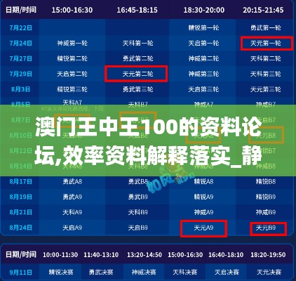澳门王中王100的资料论坛,效率资料解释落实_静态版8.160