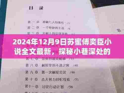 探秘小巷深处的秘密花园,苏蜜傅奕臣小说特色小店之旅(最新全文)