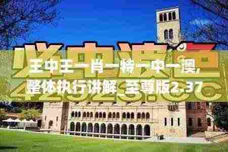 王中王一肖一特一中一澳,整体执行讲解_至尊版2.371