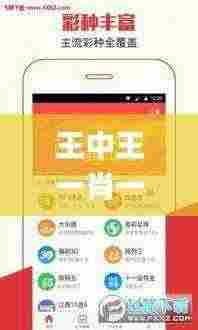 王中王一肖一特一中一澳,整体执行讲解_至尊版2.371