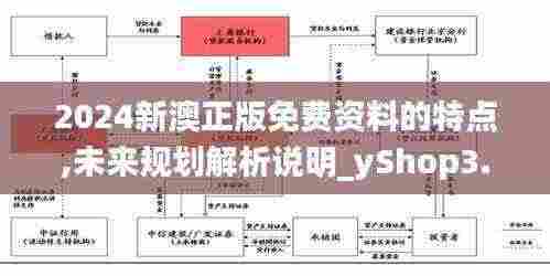 2024新澳正版免费资料的特点,未来规划解析说明_yShop3.660