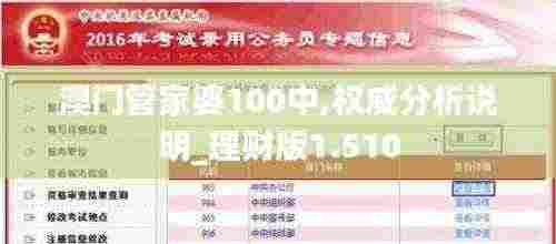 澳门管家婆100中,权威分析说明_理财版1.510