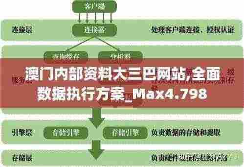 澳门内部资料大三巴网站,全面数据执行方案_Max4.798