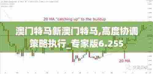 澳门特马新澳门特马,高度协调策略执行_专家版6.255