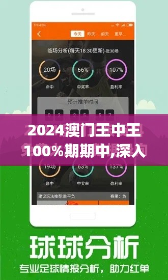 2024澳门王中王100%期期中,深入数据解答解释落实_限定版6.446
