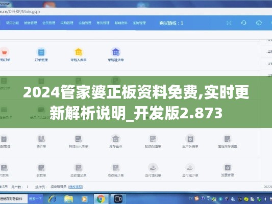 2024管家婆正板资料免费,实时更新解析说明_开发版2.873