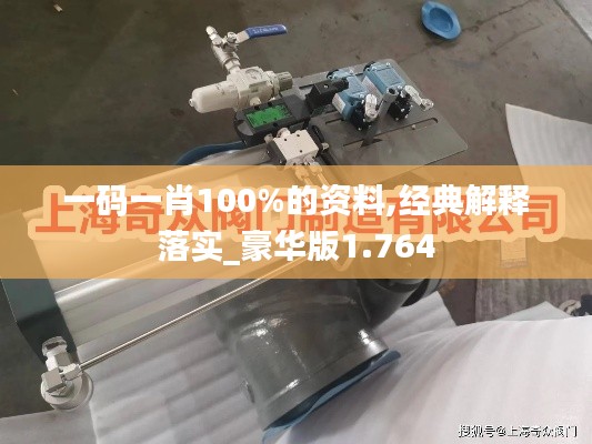 一码一肖100%的资料,经典解释落实_豪华版1.764