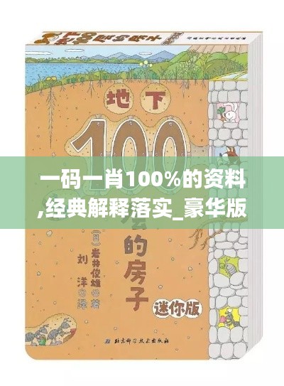 一码一肖100%的资料,经典解释落实_豪华版1.764