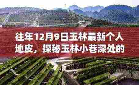 探秘玉林小巷深处的独特地皮,一家隐藏版个人地皮特色小店的奇妙探秘之旅(玉林最新个人地皮资讯)