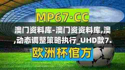 澳门资料库-澳门资资料库,澳,动态调整策略执行_UHD款7.404