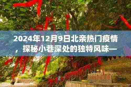 探秘疫情中的北亲小巷,独特风味与热门故事揭秘(2024年12月9日)