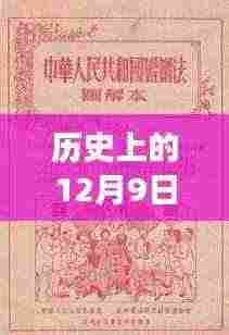 深度解读历史上的老赖条例,多方观点碰撞与个人立场阐述