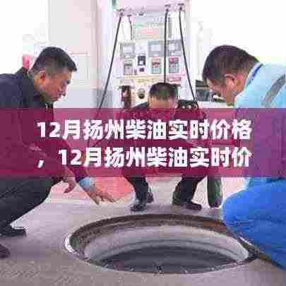 扬州柴油实时价格解析,市场走势分析与预测