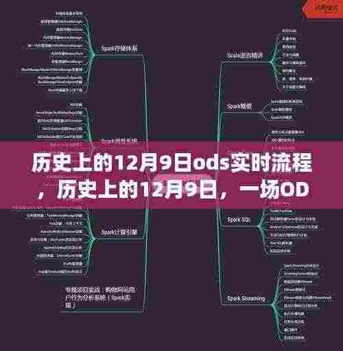 历史上的12月9日,ODS引领的自然美景探索之旅实时流程记录