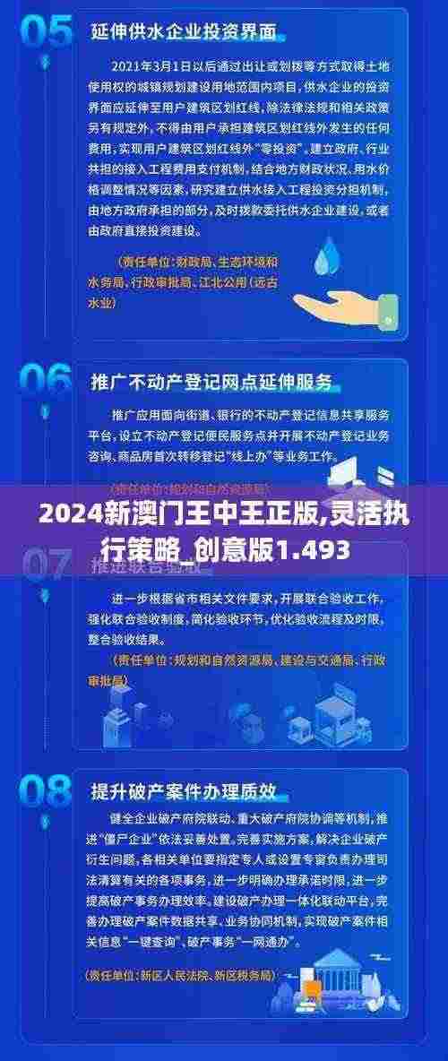 2024新澳门王中王正版,灵活执行策略_创意版1.493