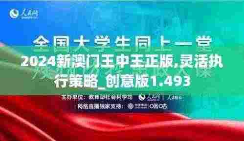 2024新澳门王中王正版,灵活执行策略_创意版1.493