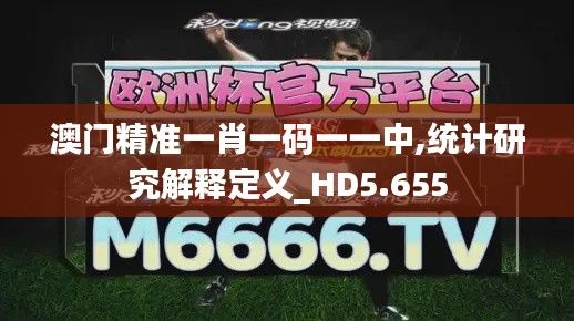 澳门精准一肖一码一一中,统计研究解释定义_HD5.655