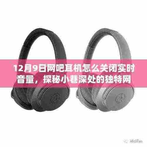 12月9日网吧耳机怎么关闭实时音量,探秘小巷深处的独特网吧,揭秘如何优雅关闭耳机音量,享受专属静谧时刻
