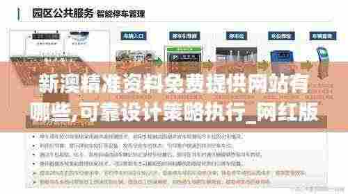 新澳精准资料免费提供网站有哪些,可靠设计策略执行_网红版7.382