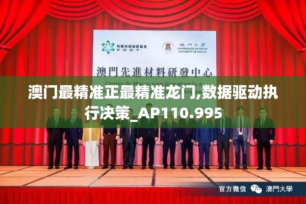 澳门最精准正最精准龙门,数据驱动执行决策_AP110.995