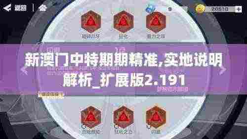 新澳门中特期期精准,实地说明解析_扩展版2.191