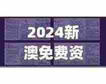 2024新澳免费资料大全penbao136,实效设计计划解析_1440p9.203