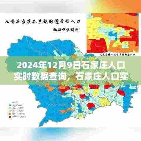 2024年石家庄人口实时数据查询指南，一步步掌握查询流程（初学者版）