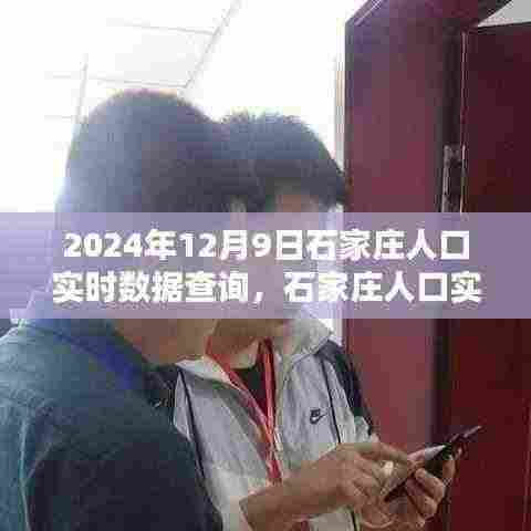 2024年石家庄人口实时数据查询指南,一步步掌握查询流程(初学者版)