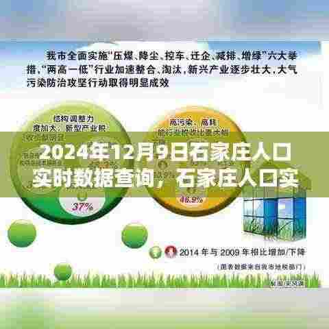 2024年石家庄人口实时数据查询指南,一步步掌握查询流程(初学者版)