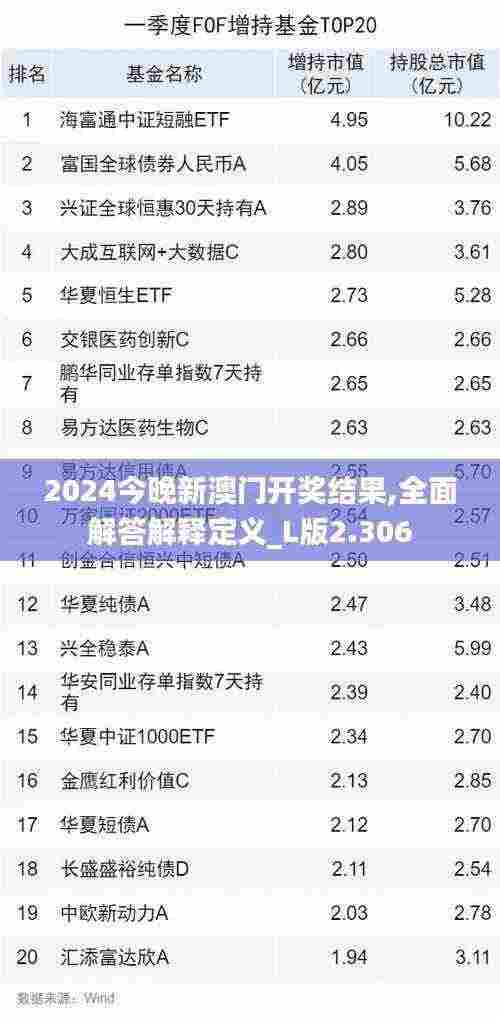 2024今晚新澳门开奖结果,全面解答解释定义_L版2.306